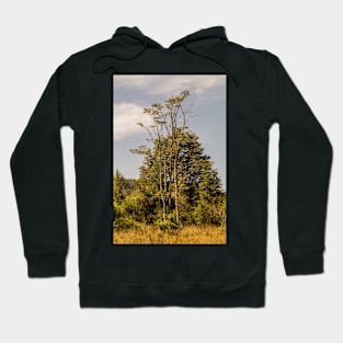 32316 young oaks Hoodie